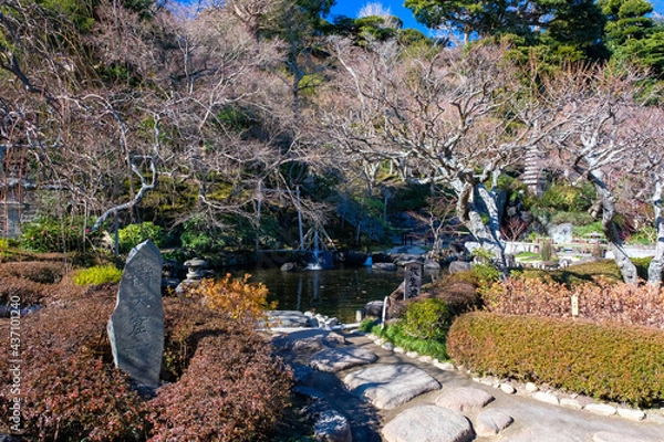 Fototapeta 神奈川県鎌倉市 長谷寺 冬の庭園（放生池）