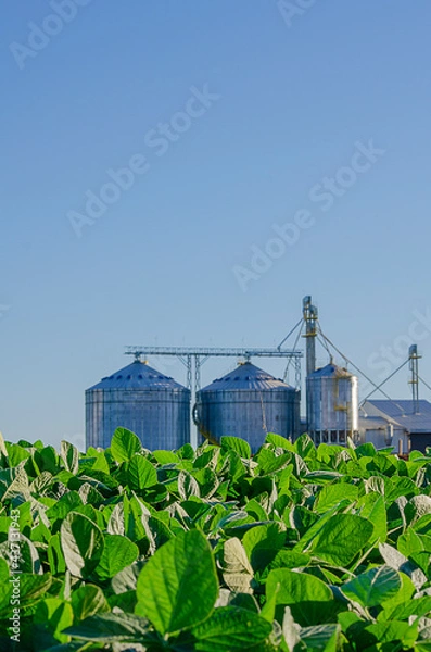 Fototapeta grain storage silos