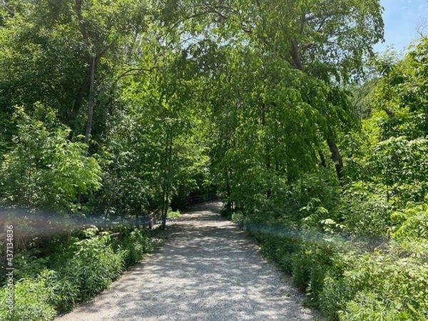 Obraz path in the park