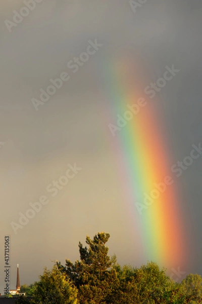 Obraz View on a rainbow against a grey sky