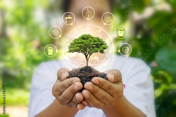 Fototapeta tree growing on soil in human hand and eco-friendly energy related icons earth day concept and energy saving