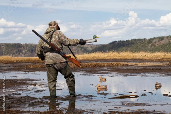 Fototapeta a hunter walks along the muddy shore of the lake and sets up duck decoy
