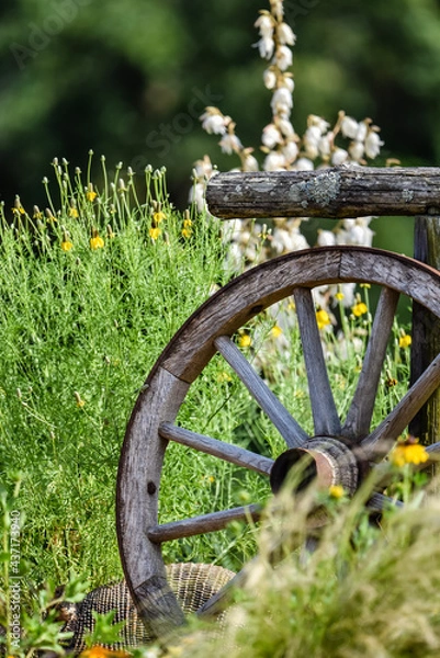 Fototapeta old wagon wheel