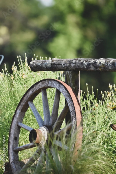 Fototapeta old wheel and fence