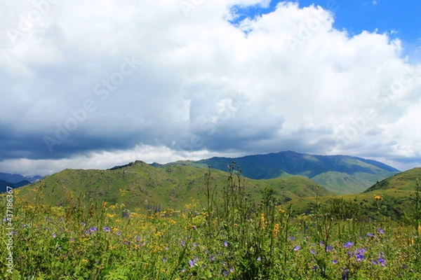 Obraz landscape with flowers and clouds
