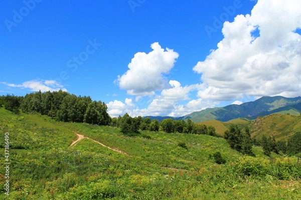 Obraz landscape in the mountains