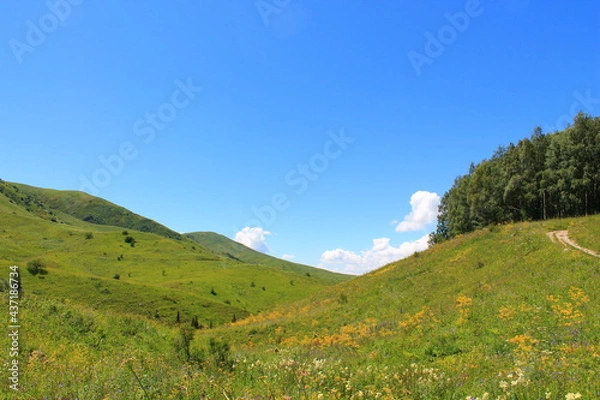 Obraz landscape in summer with sky