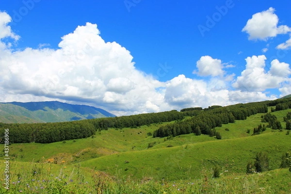 Obraz landscape with sky and clouds