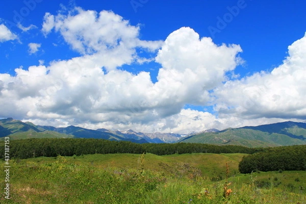 Obraz landscape with blue sky and clouds