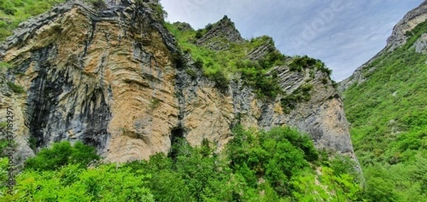 Obraz rock wall with trees growing on the steep slopes of the mountain located in a park which is home to a large forest