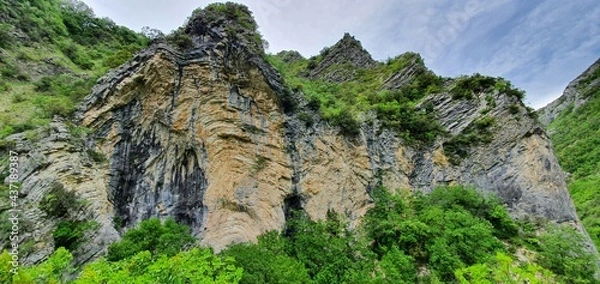 Obraz rock wall with trees growing on the steep slopes of the mountain located in a park which is home to a large forest