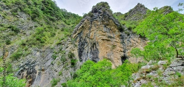 Obraz rock wall with trees growing on the steep slopes of the mountain located in a park which is home to a large forest