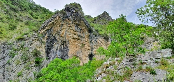 Obraz rock wall with trees growing on the steep slopes of the mountain located in a park which is home to a large forest
