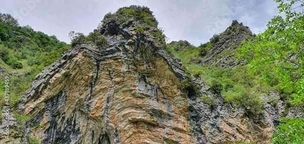 Obraz rock wall with trees growing on the steep slopes of the mountain located in a park which is home to a large forest