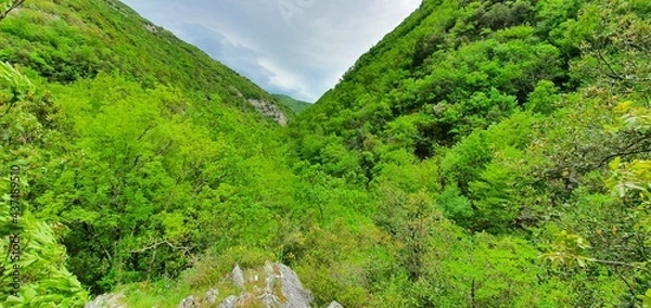 Obraz rock wall with trees growing on the steep slopes of the mountain located in a park which is home to a large forest