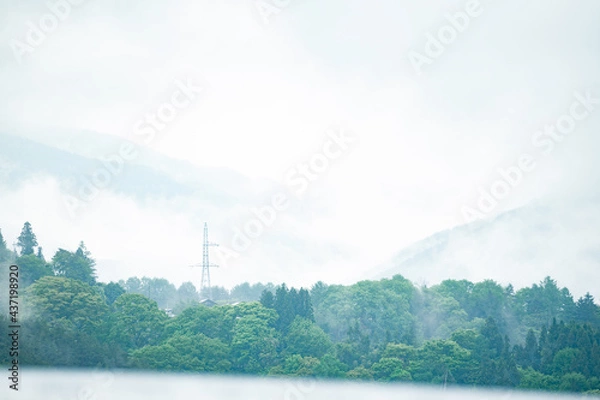 Fototapeta 霧の森