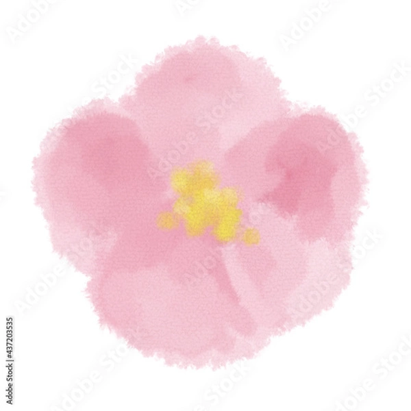 Fototapeta イラスト素材　水彩　花　手描き　ピンク