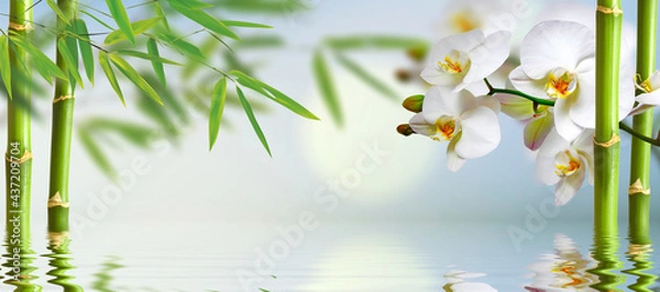 Fototapeta spa background with ochideen and bamboo in green