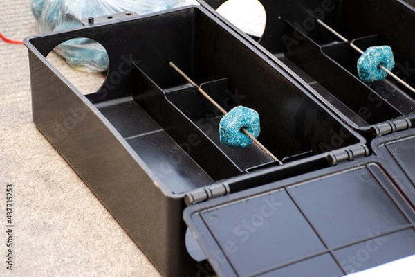 Obraz Rat trap box with rodent poison bait on the floor. Outdoor poison rat station in factory.