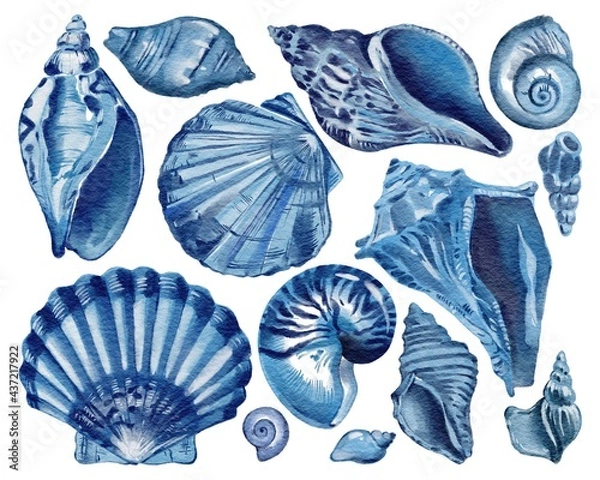 Fototapeta Set of blue seashells - conch, shell, and cockle-shell. Sea shells watercolor hand drawn illustration set isolated on white background for banner, poster, print, postcard, textile, template, card