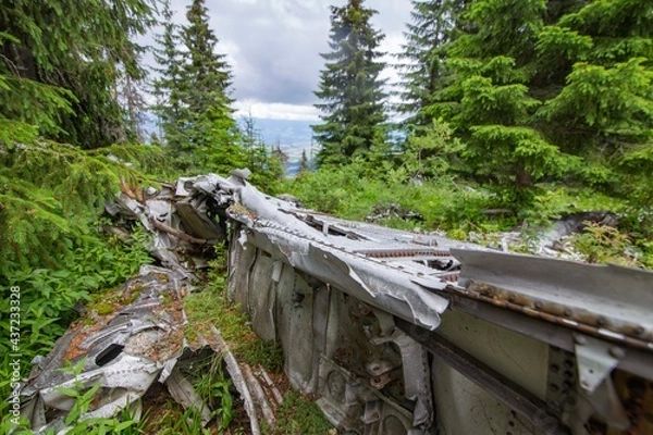 Fototapeta Wrak samolotu
