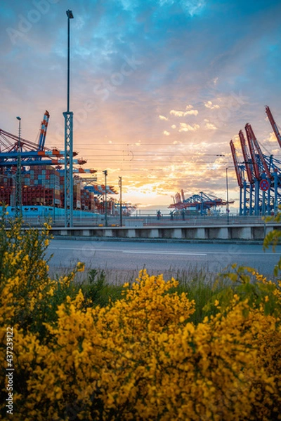 Obraz Hamburger Hafen