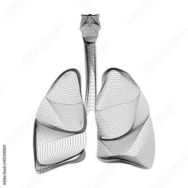 Fototapeta Human lungs silhouette consisting of black dots and particles. 3D vector wireframe of internal organ with a grain texture. Abstract geometric icon with dotted structure isolated on a white background