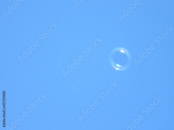 Obraz soap bubbles in the sky