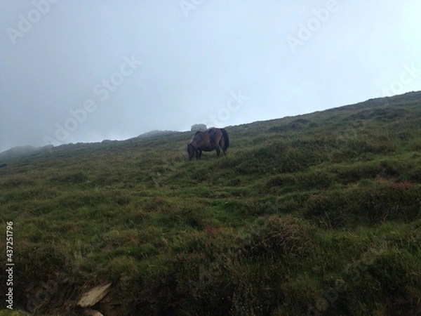 Obraz hiking in the mountains