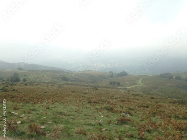 Obraz fog in the mountains