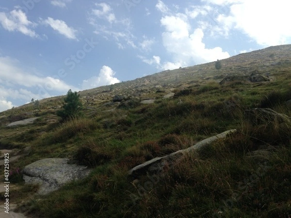 Obraz landscape with sky