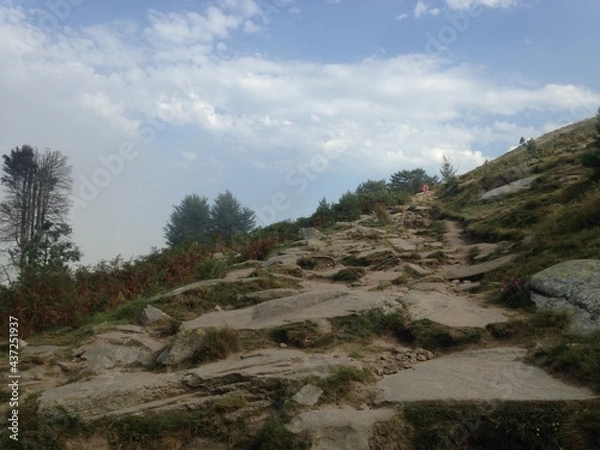 Obraz path in the mountains