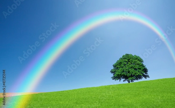 Fototapeta Green fields and lone tree