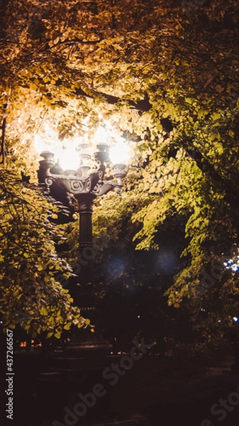 Obraz Street lamp at night