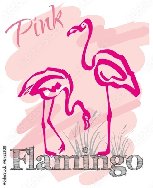 Fototapeta Pink flamingo. Couple exotic birds. Summer postcard in the vector.