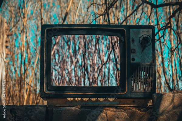 Obraz old abandoned TV with trees in the background