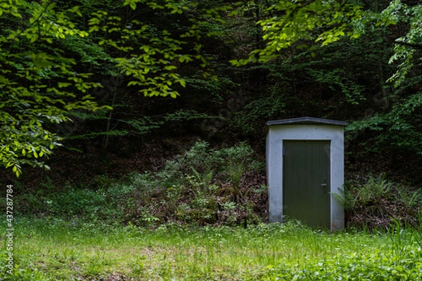Obraz single cabin in dark wood