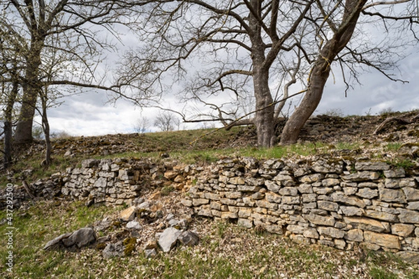 Obraz broken stone wall and trees