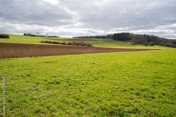 Obraz green agricultural farmland with wide field