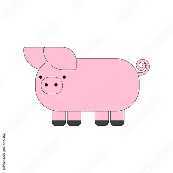 Fototapeta A simple pig. Color vector illustration on white background.