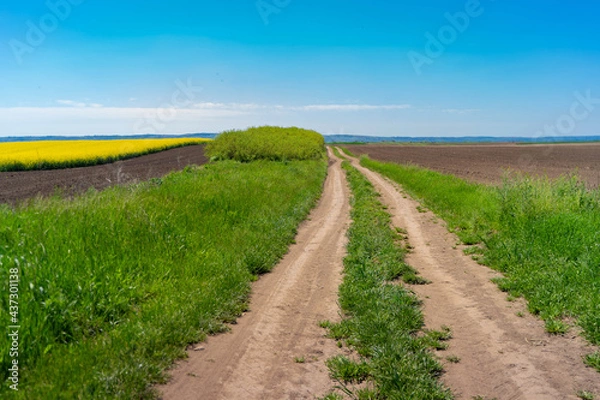 Obraz road in the field