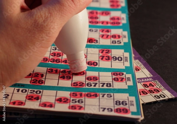 Obraz Bingo