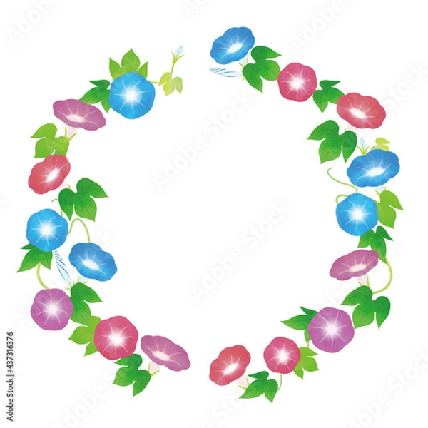 Fototapeta 朝顔 フレーム　水彩風タッチデザイン