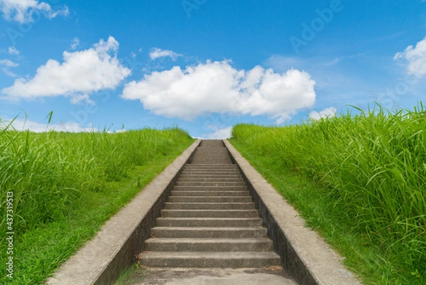 Fototapeta 夏の青空と雲と緑