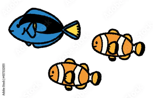 Obraz カクレクマノミとナンヨウハギ