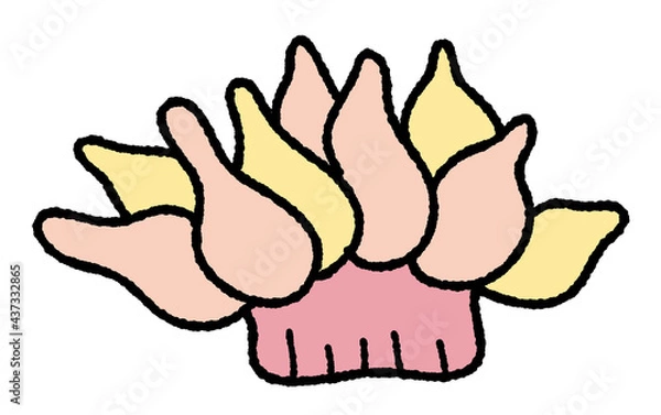 Obraz サンゴとイソギンチャク4