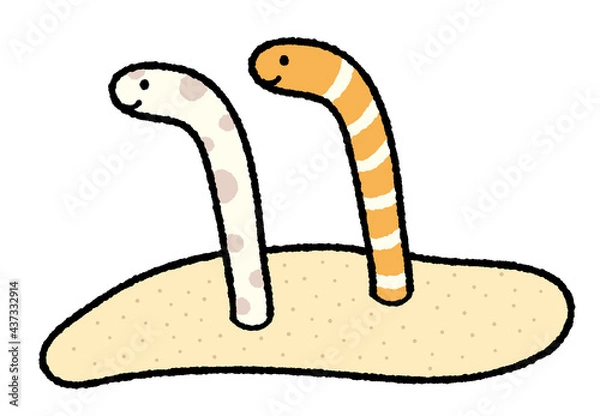 Obraz チンアナゴ