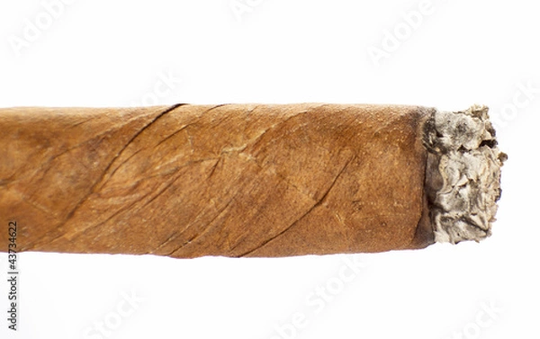 Obraz Cigar