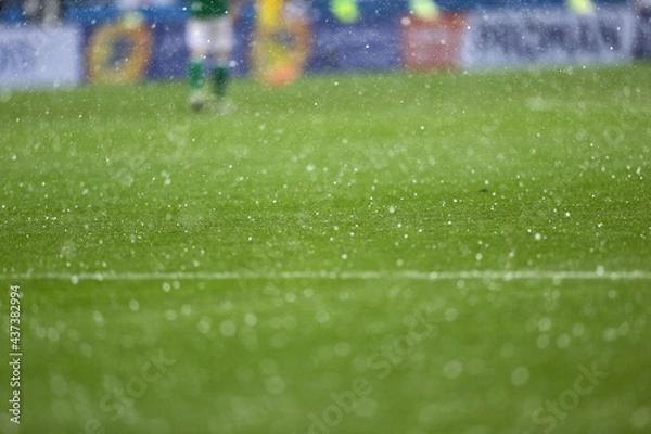 Obraz Details of green grass of football pitch seen during the rain showers