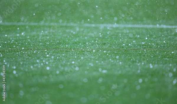 Obraz Details of green grass of football pitch seen during the rain showers
